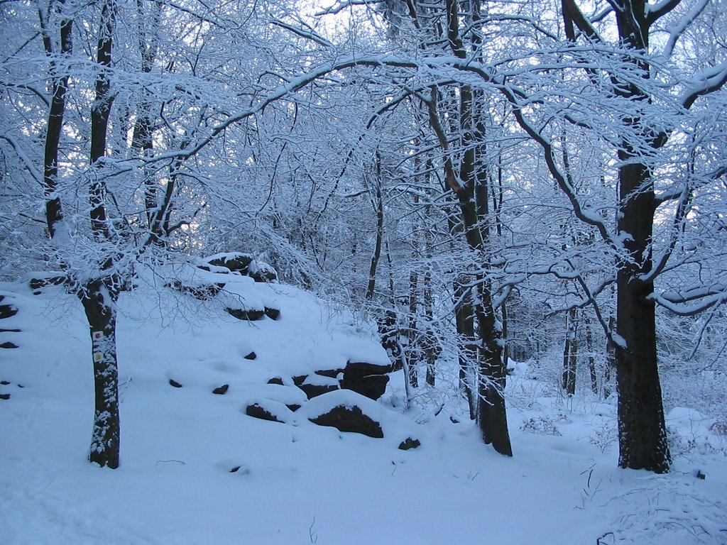 Kälbersteine im Winter 4 by Oliver_Harig