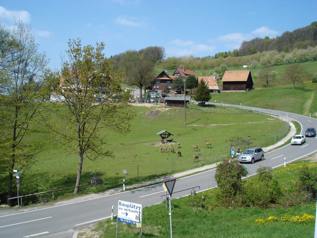 Bergstrasse, Sasbachwalden by o.b.