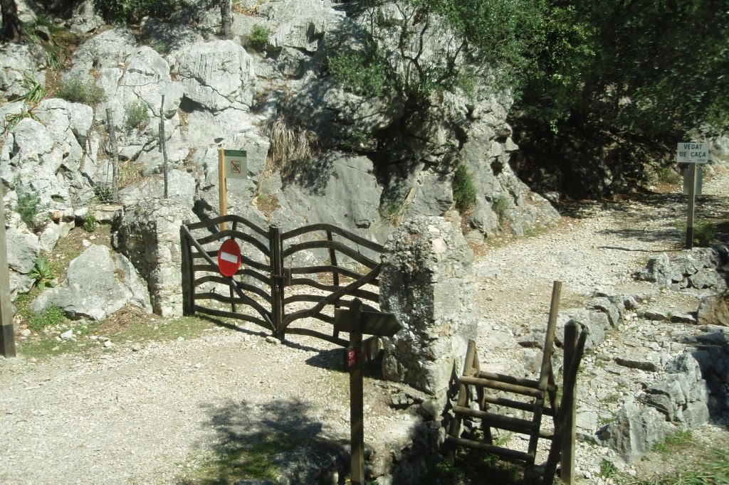 Serra de Tramuntana by anemar