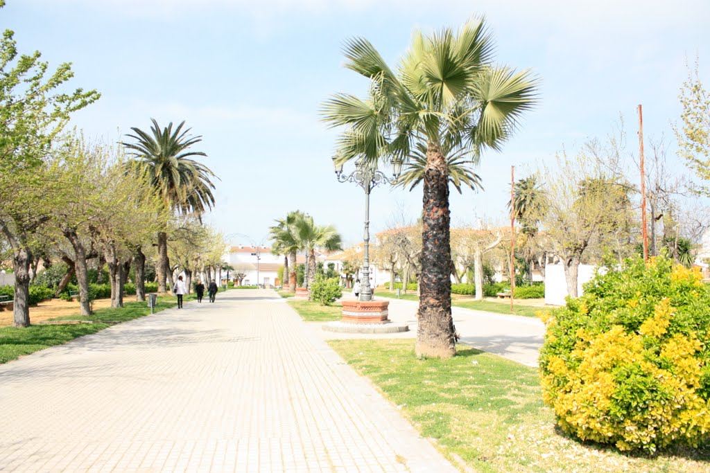 Paseo de la libertad by Miguel Caballero Lara