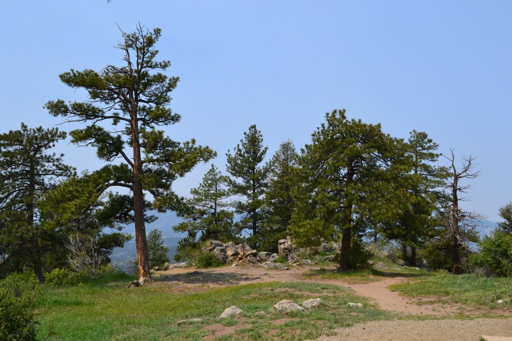 On top of the Genesee Mountain (8251 ft) -2011- by GSZENDRODI