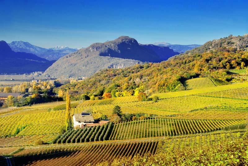 Castelfeder - Auer by Urlaub Südtirol