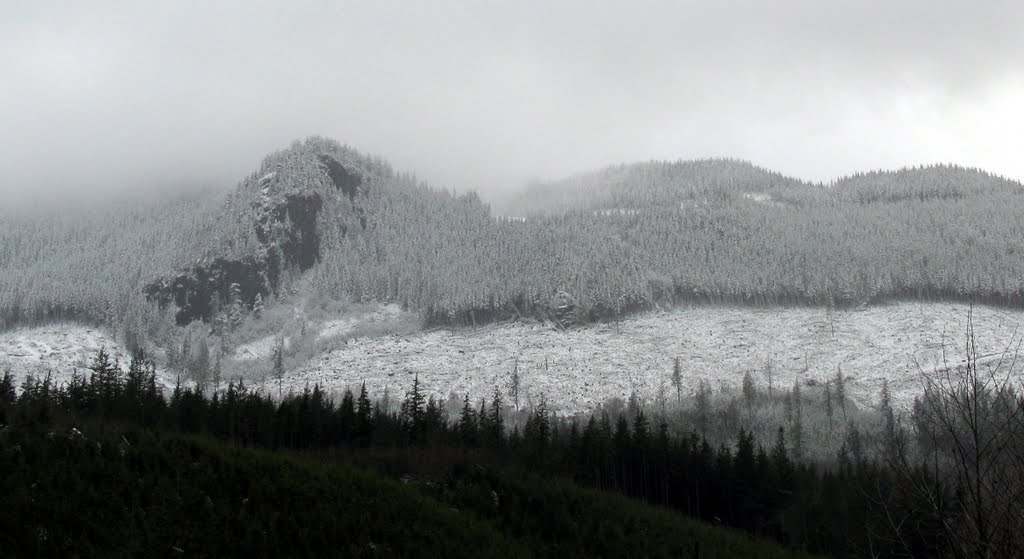 Skykomish mountains with clear cut by bar_pano