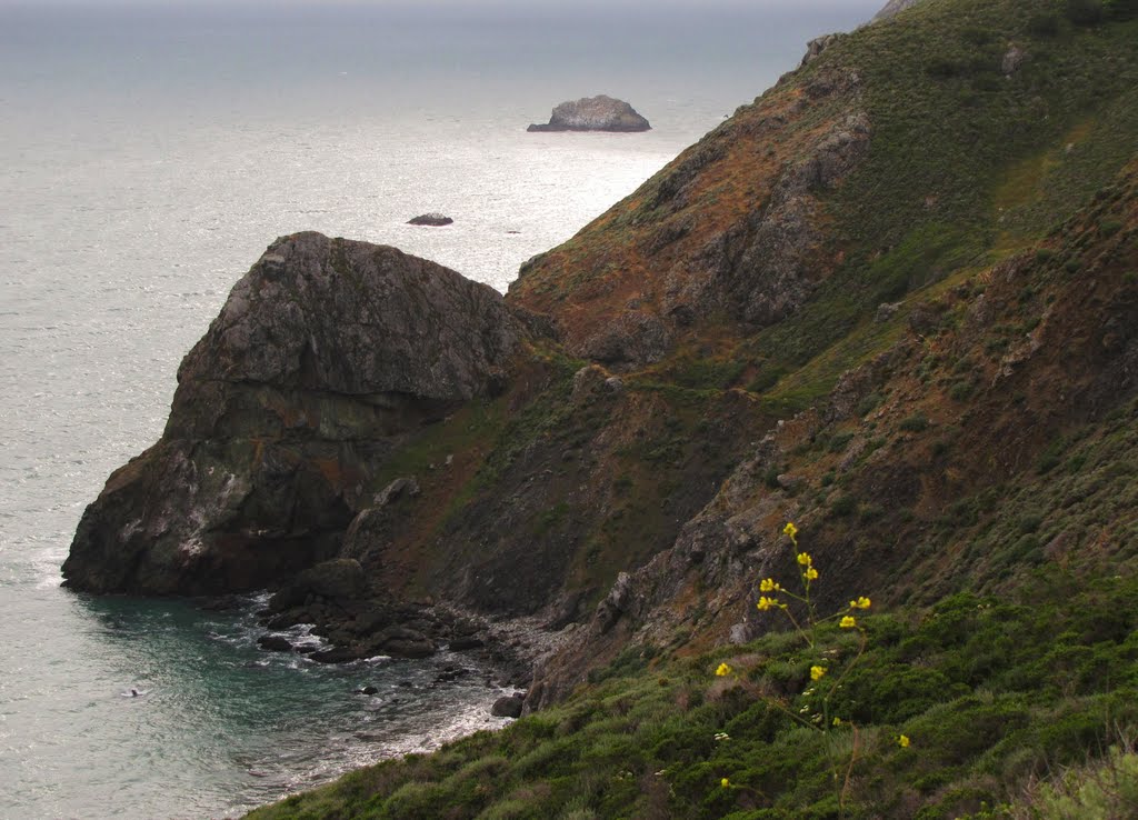 Landscape near Mickey Beach (background: Gull Rock) - view from Hwy 1 (Shoreline Hwy), CA, USA. by André Bonacin