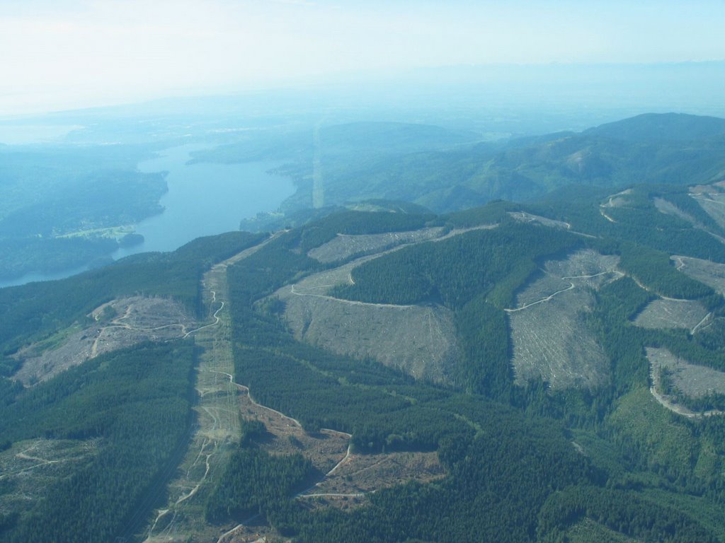 Chuckanut clearcuts II by moontroll