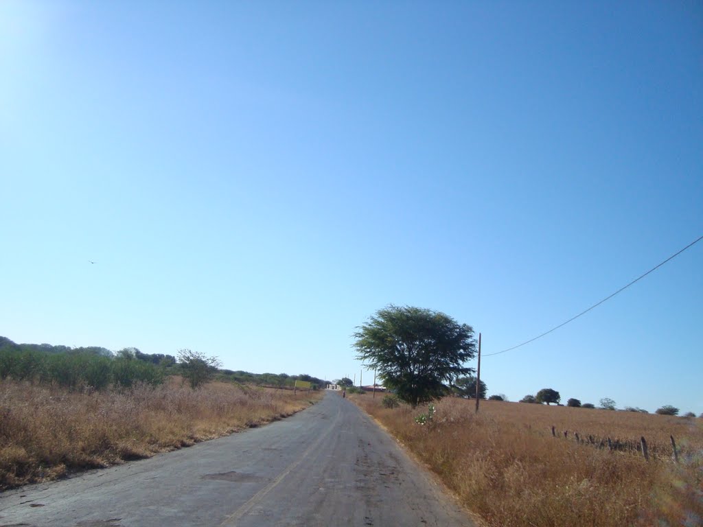 Estrada Esagri - Admirando o Brasil by Admirando o Brasil e o Mundo