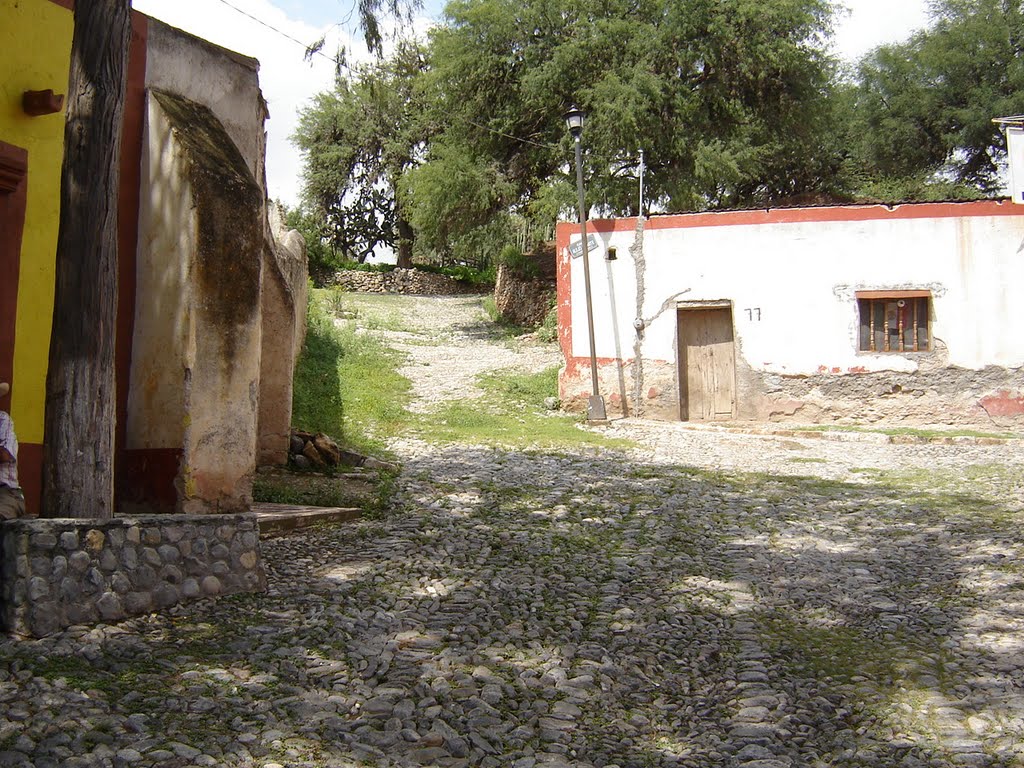 Aun Lado de La Iglesia del Jardin, Armadillo de Los Infante,SLP,Mexico by javype