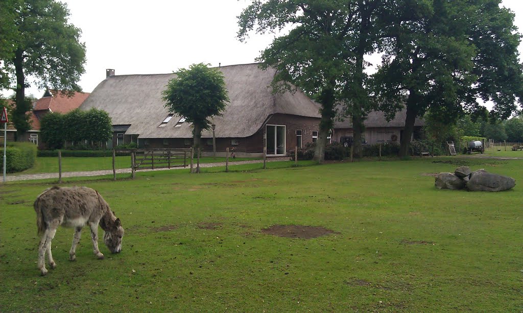 Ezelweide en boerderij te Anderen by BaliBennie