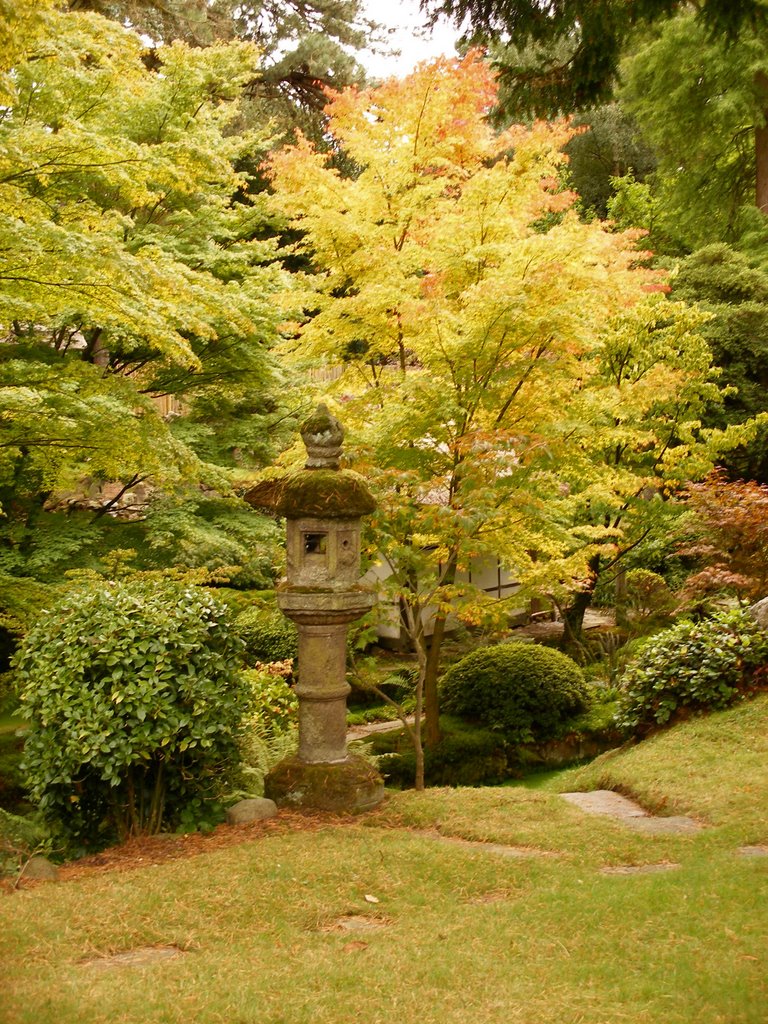 Japanese Garden, Tatton Park by Nick Gent