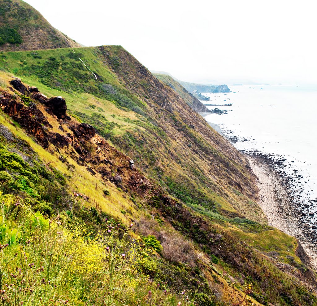 The Pacific Coast Highway California _Panorama by Larry Butcher