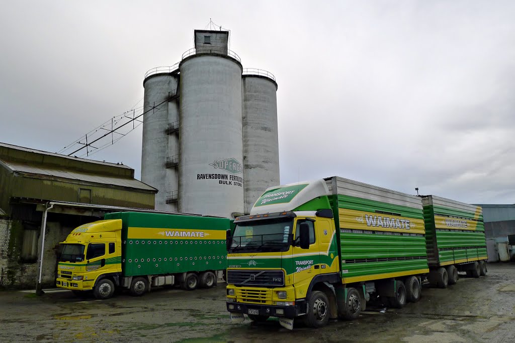 Green and Gold Livery, Waimate, NZ by Ian Stehbens