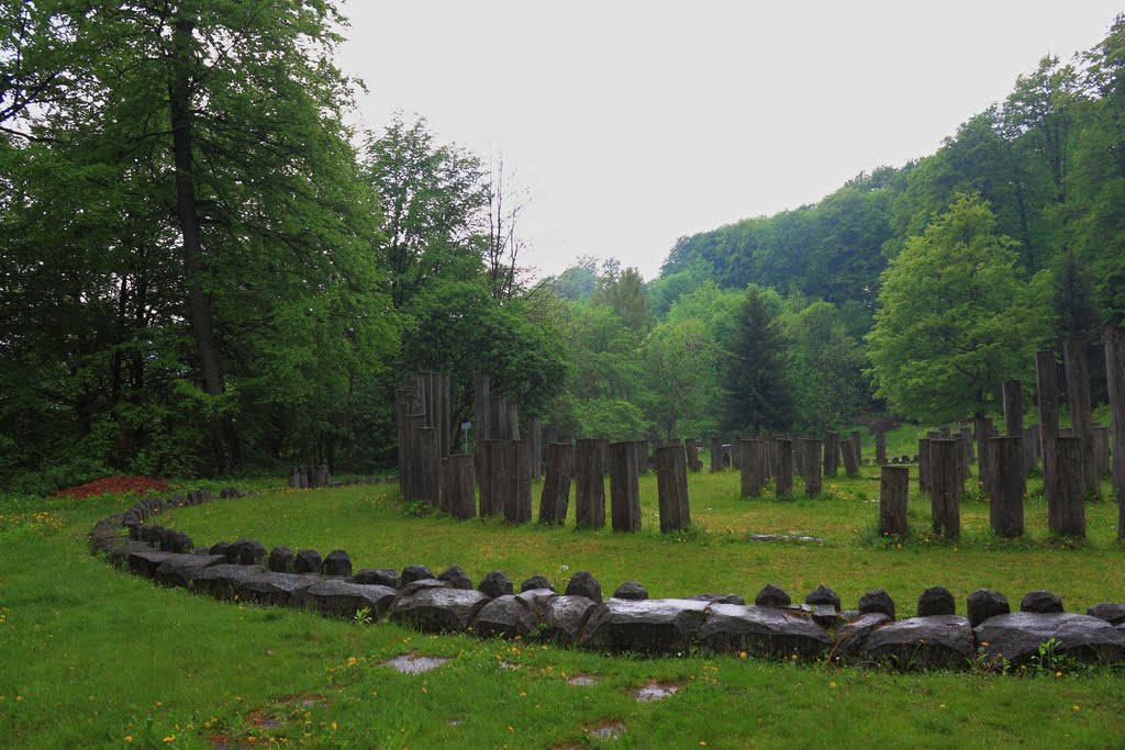 Sarmizegetusa Regia by Sylvester Nata