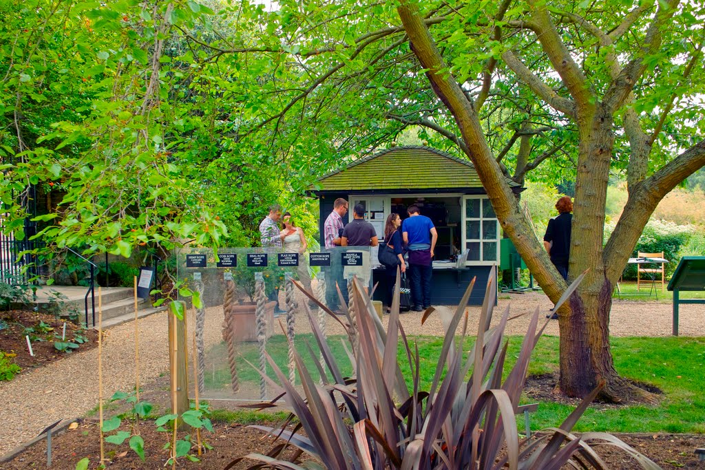 In the Chelsea Physic Garden, London 37 by Priscilla Turner