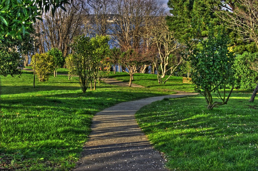 Camino, HDR by angel l. filgueiras