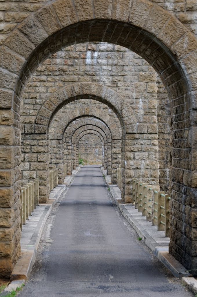 Viaduc de Daranche, F by roland.fr