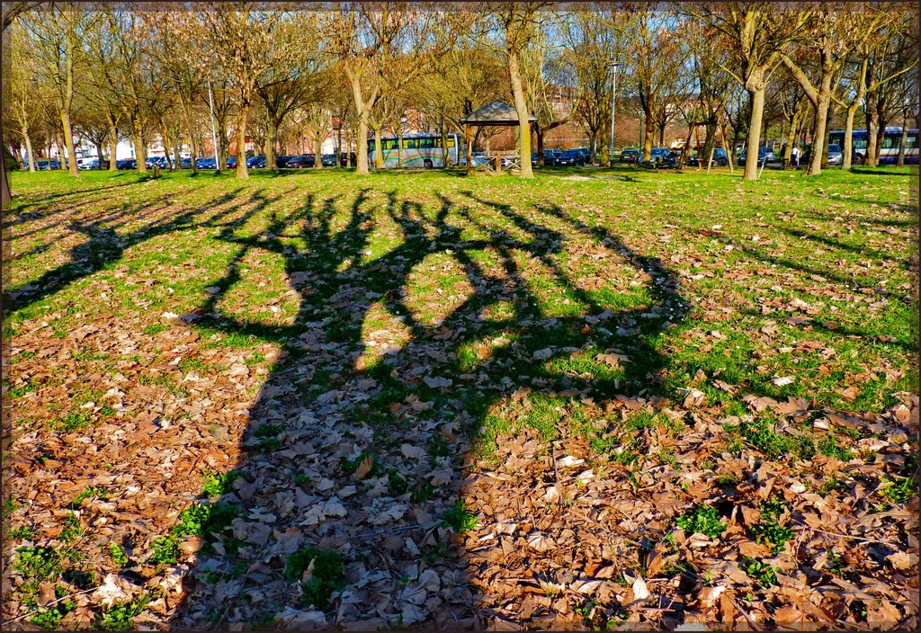 Ombre al Parco di Venaria Reale by patano