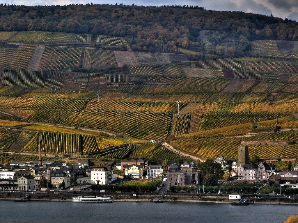 Bingen - Blick auf Rüdesheim by charlyfoxtrott