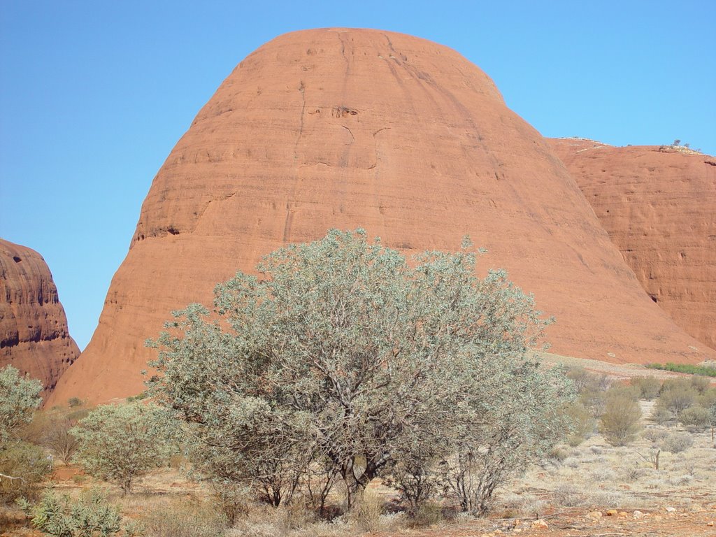 Mt Olga (1066m), Kata Tjuta NT by A Greek Somewhere