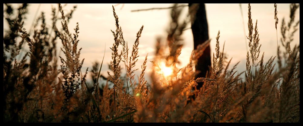 Zachod slonca nad jeziorem Brody - Sunset near lake Brody by duperel