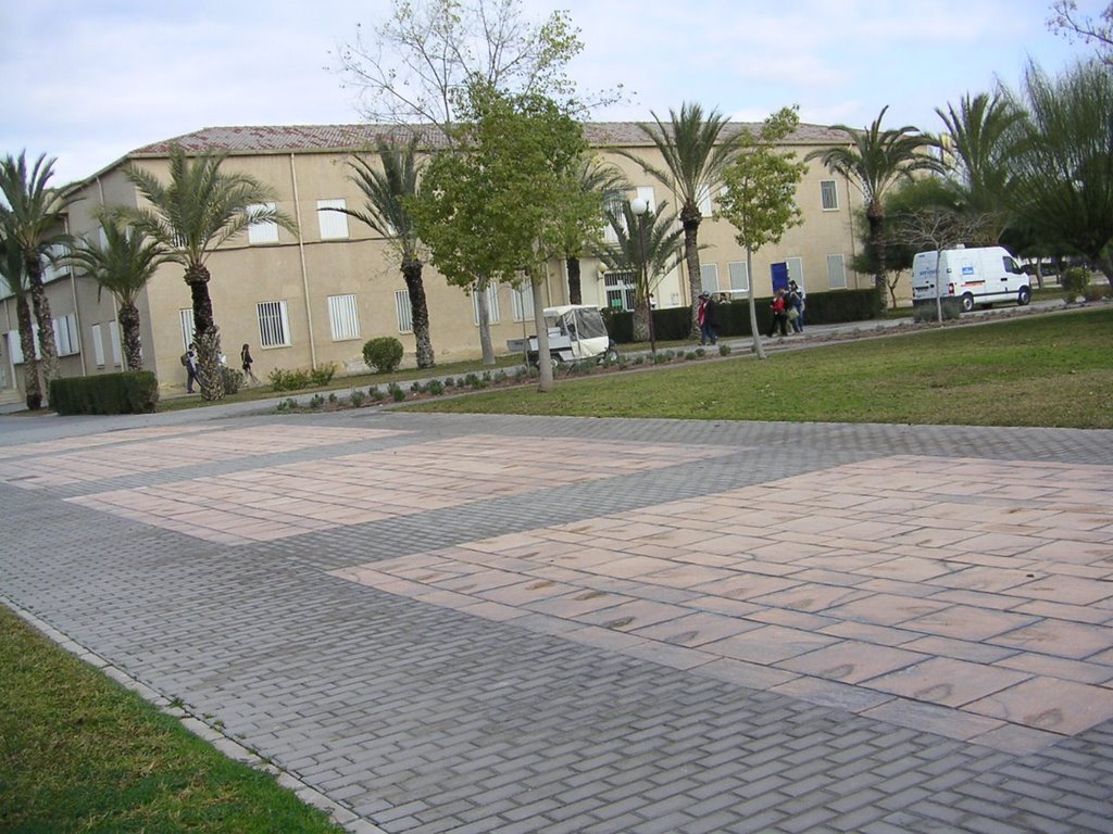 Universidad de Alicante, Facultad de Educación by angelozano