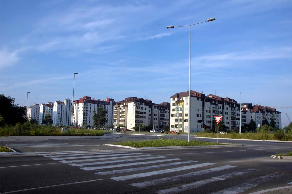 Bežanija - Poslednji blokovi u Novom Beogradu by Teča sa Dunava