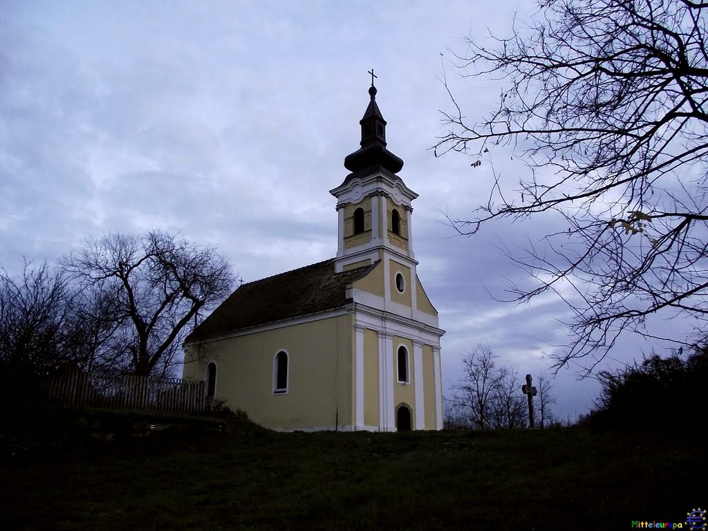 Српска Православна Црква - Serbische Kirche (Nov,2010) by € Mitteleuropäer €