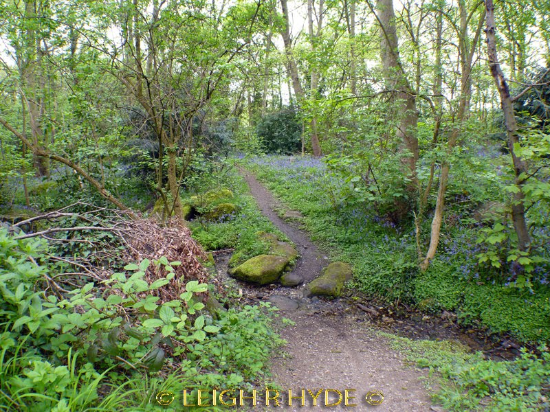 KIRKSTALL VALLEY TRAIL by leigh r hyde