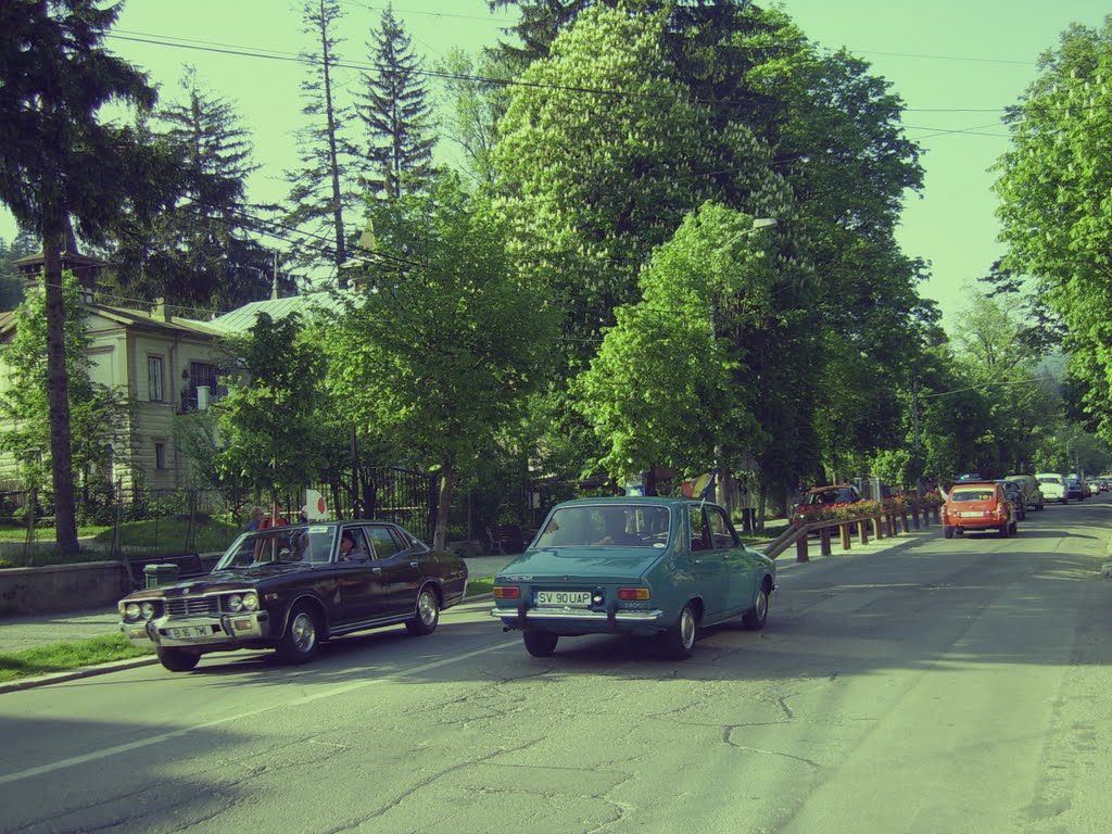 Vechea maşină a bunicului " Dacia" by Turnada