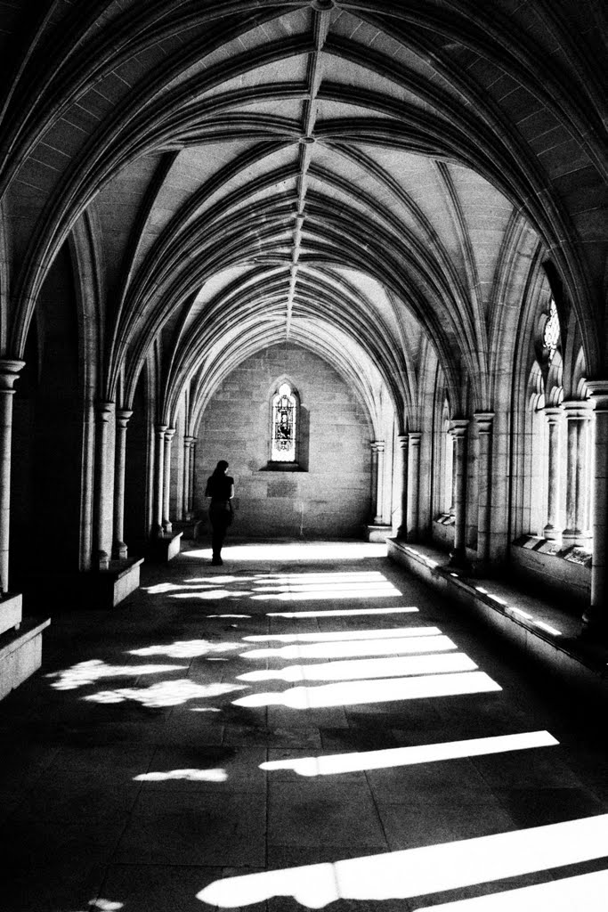 In The Cloister by Lee Gill