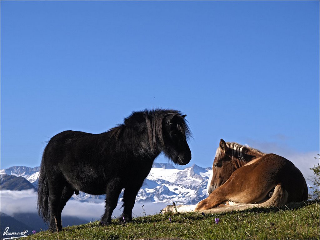 71012-040 VALLE DE VARRADOS by VICMAEL