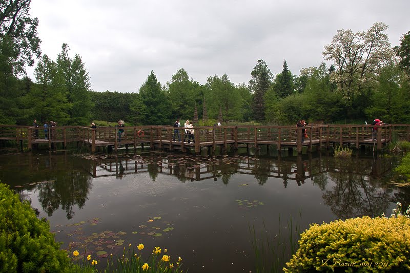 Arboretum - pomost na średnim stawie by Zdzisław Barut