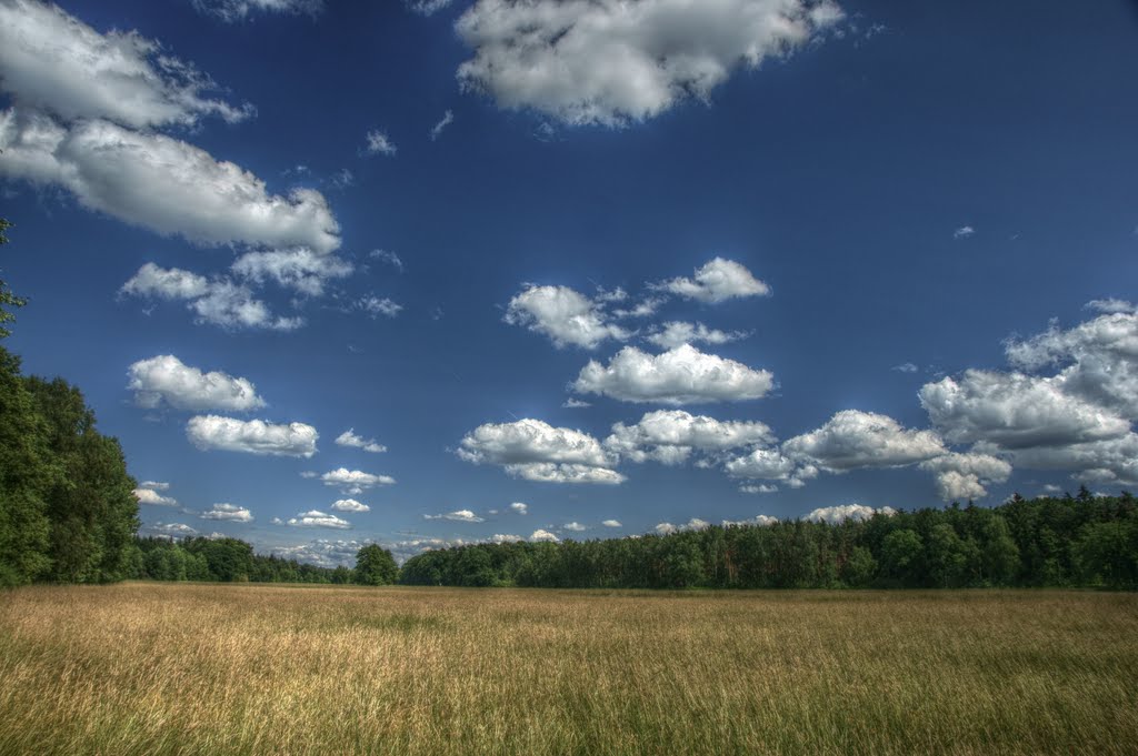 Großer Wiesengrund bei Mörfelden by schnauzerfreund