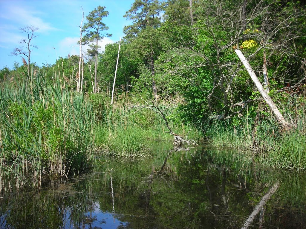 Small pass on right creek branch by N. W.