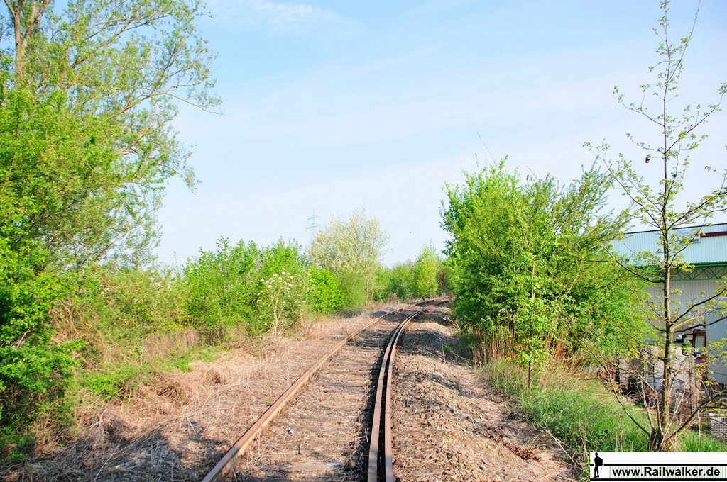 Der Bahndamm nähert sich in einer Kurve der Donau by Railwalker