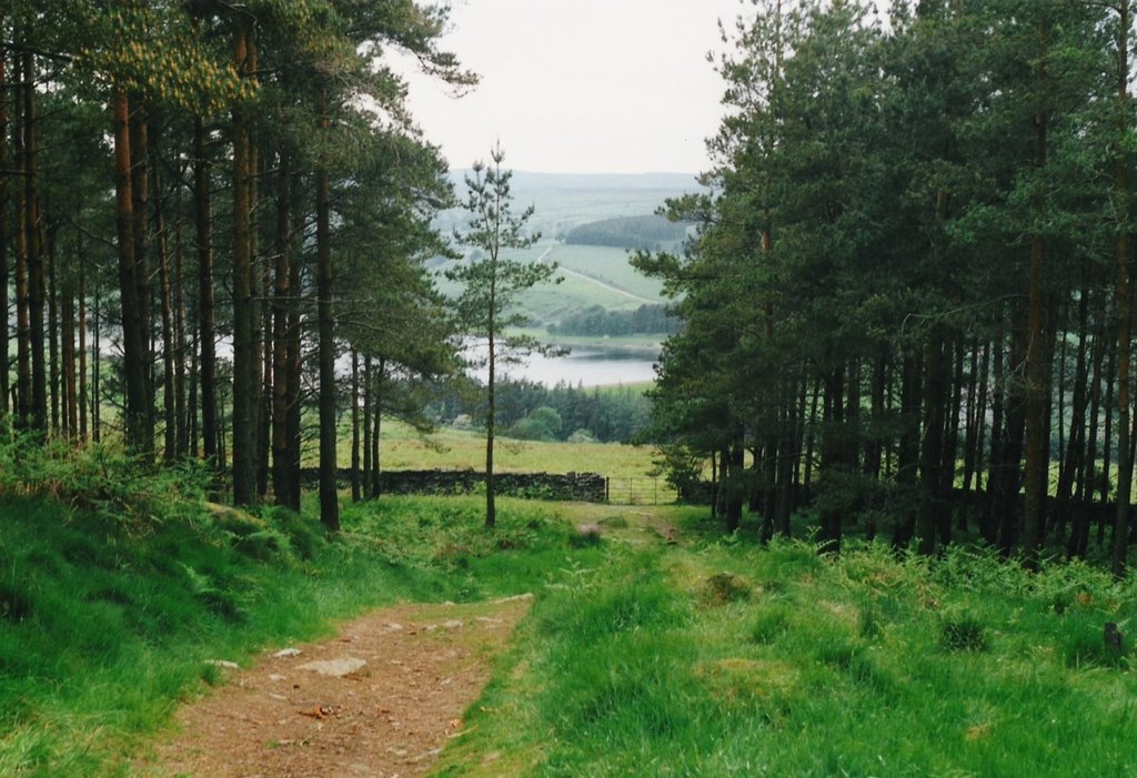 Leighton Reservoir from Hill of Folly Druid's Temple by MBagyinszky