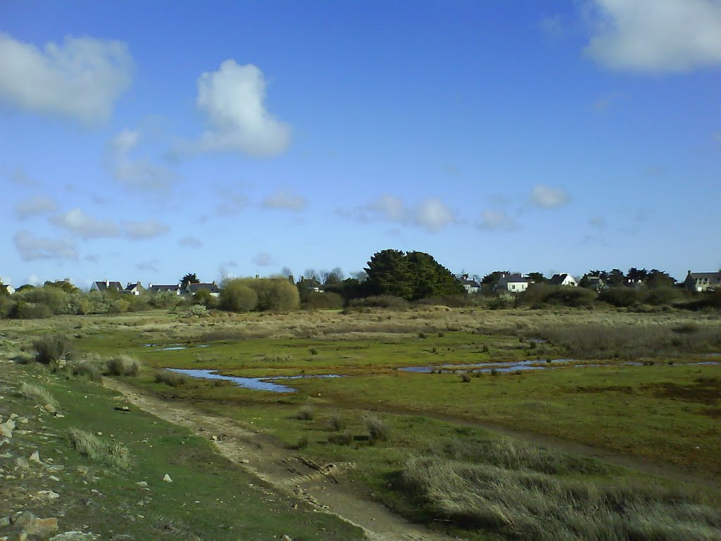 Ile d'Arz, chemin côtier by wanwongka