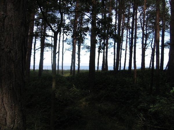 Usedom,Lichtspiele im Herbst by Lutz Siebert