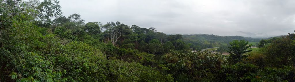 Desde el Mirador del Paraje Turístico Punta Verde by roduar