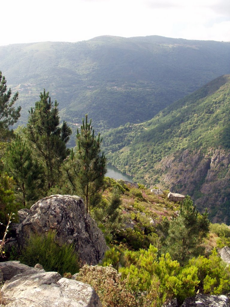 Canyon Rio Sil, Ribeira Sacra by Brian Simmons