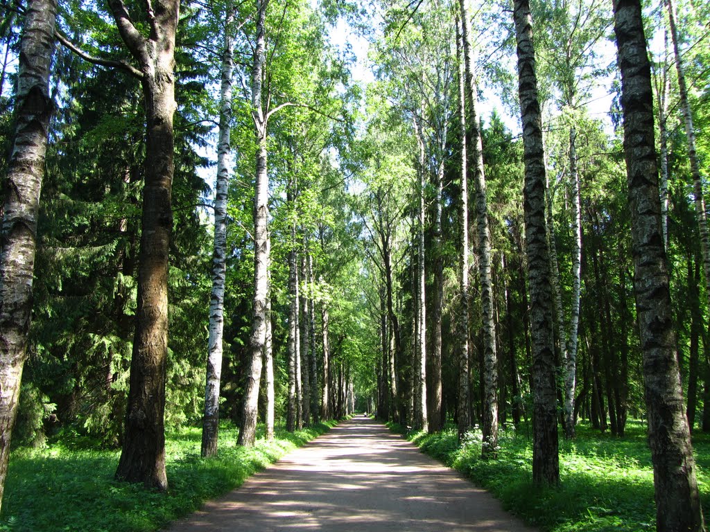 St-Peterburg/San-Pietroburgo. Pavlovsk, the park of landscape /Pavlovsk, il parco paesaggistico / Павловск, пейзажный парк by Andrej Antipin