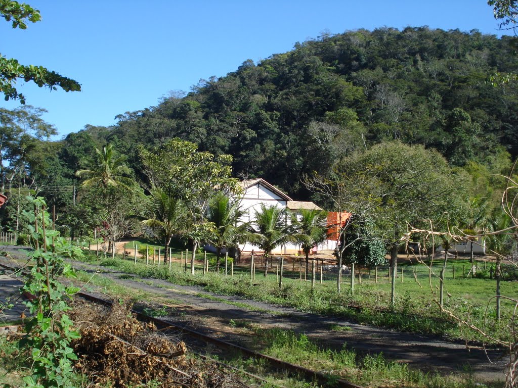 CASA DO FELIPE, com a preservação da Mata Atlântica by Diana Kaya