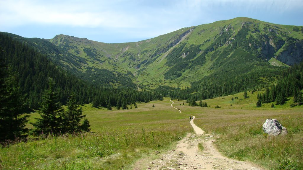 Tatry. Hala Kondratowa -szlak na Przełęcz pod Kopą Kondracką by Roman_Malowanski