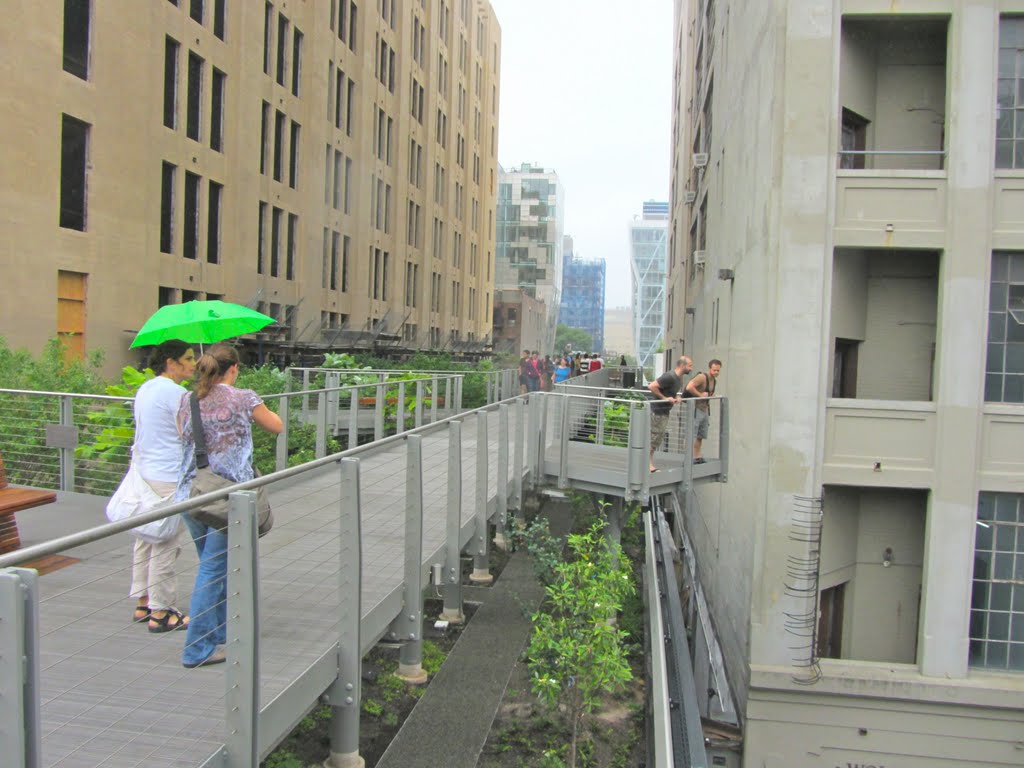 Woodland Flyover High Line Park by Adam Elmquist