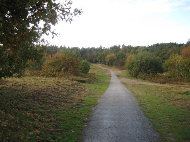 Edense Bossen Ede by Ralf Grispen