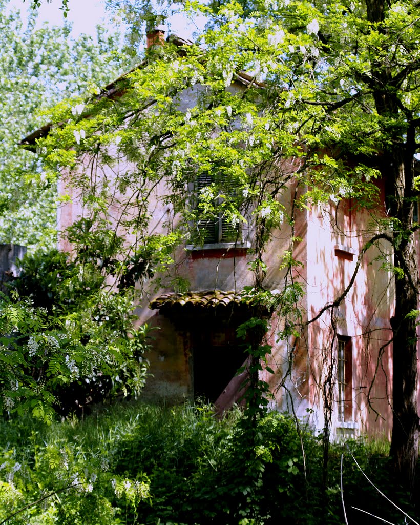 Full immersion - Postazione in disuso del Magistrato delle acque - Parco del Ticino ( PV ) by effeelle