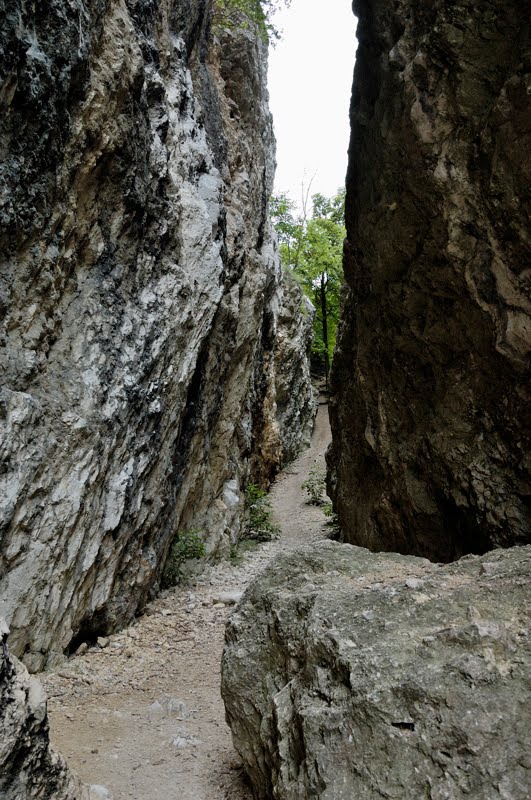 Canyon between Martinka & Obří kamen by stan_nö