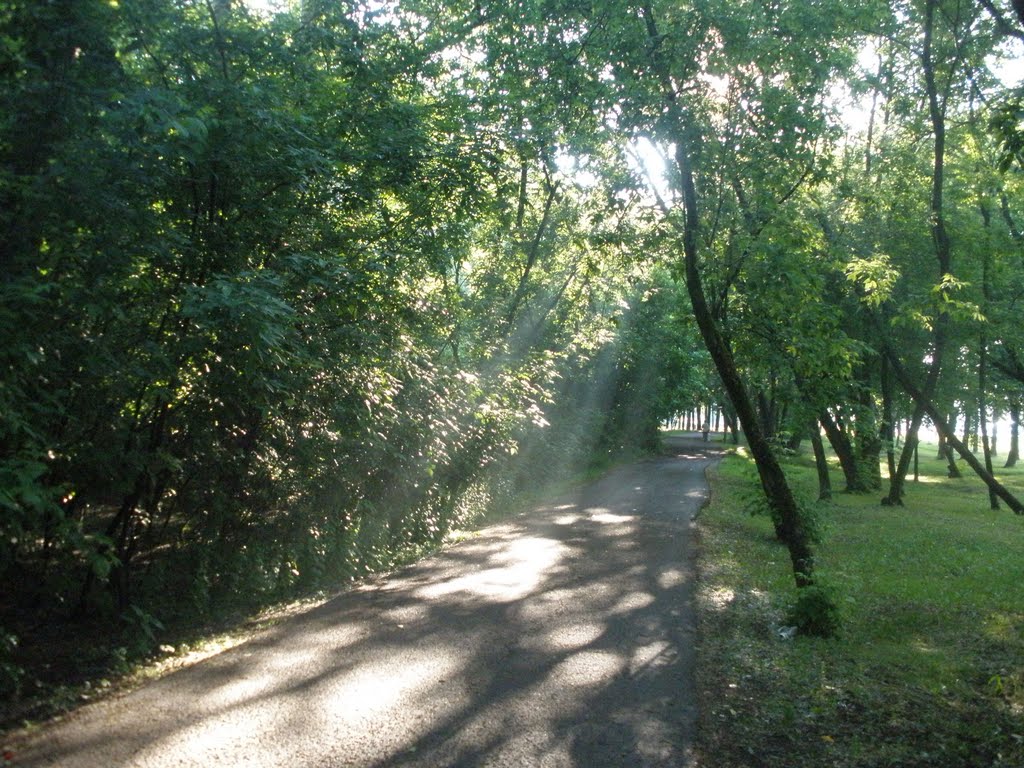 Утром. by Pripyat