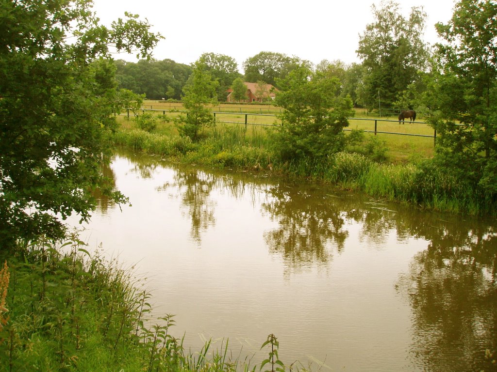 Drentse AA bij Sellingen by wiepoes