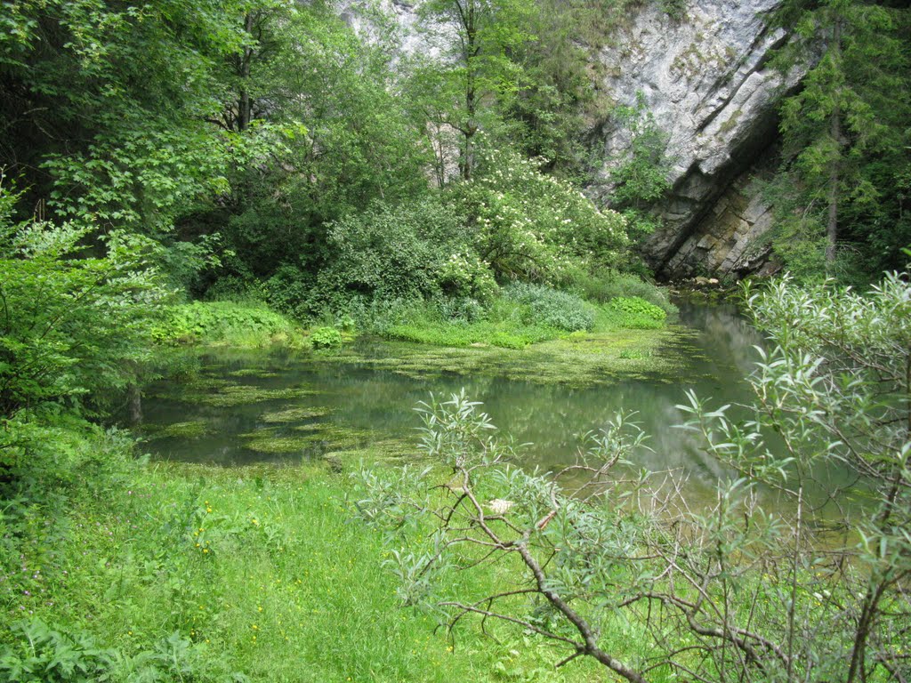 Source de l'Areuse by Bruno Lei