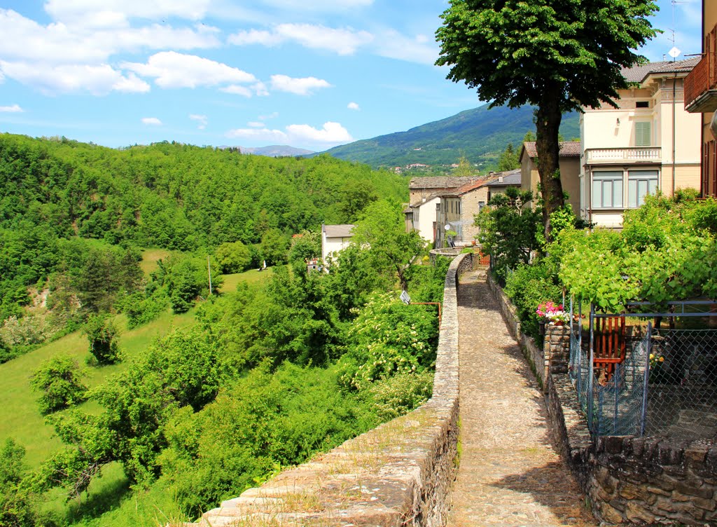 Scorcio di Compiano - Parma by alfonso minoli